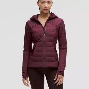 Women's Burgundy LuLu Lemon Jacket
